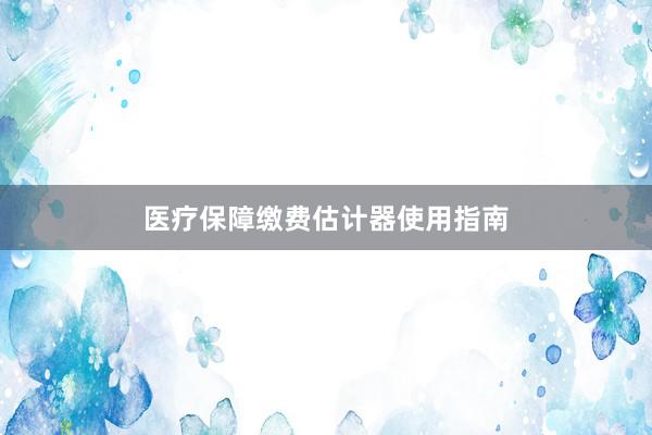 医疗保障缴费估计器使用指南