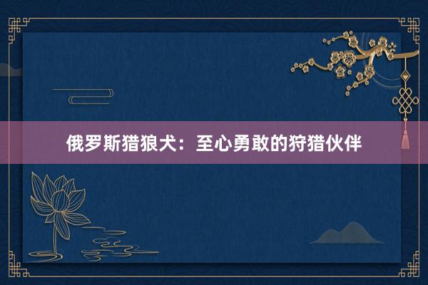 俄罗斯猎狼犬：至心勇敢的狩猎伙伴